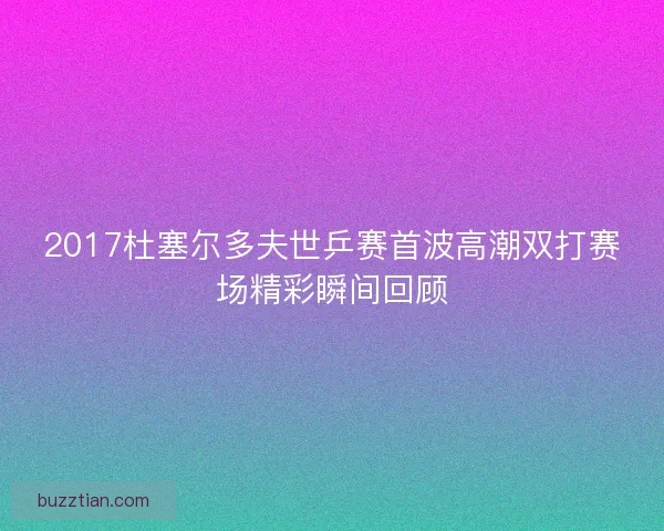 2017杜塞尔多夫世乒赛首波高潮双打赛场精彩瞬间回顾